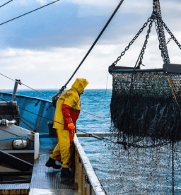 10 Tips para que no se te vaya el norte en el trabajo