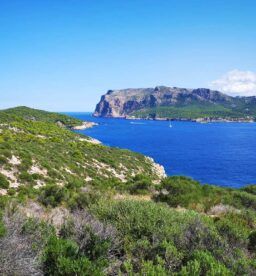 Blue Circle el catamarán que está cambiando el turismo en Baleares