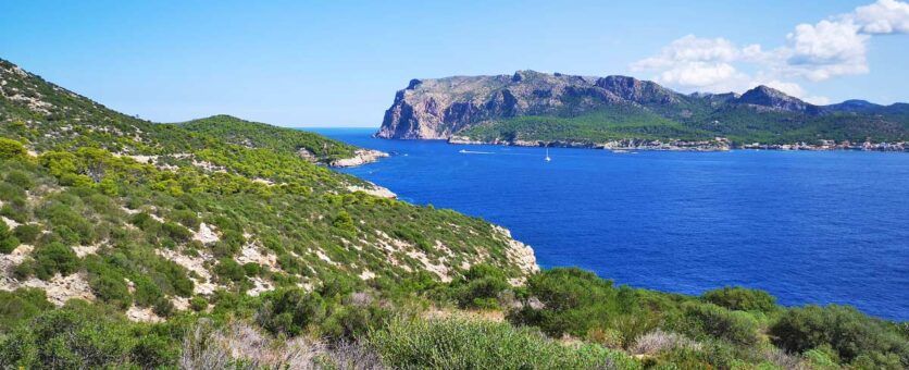 Blue Circle el catamarán que está cambiando el turismo en Baleares